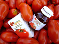 Powerful red Italian tomatoes for our Lycopene. Italian manufacturing suppliers... Italian biological and organic Lycopene designed and made in Italy with the most powerful red tomatoes... Biological lycopene may prevent prostate cancer, heart disease and other forms of cancer... Biological Lycopene manufacturing solutions to the worldwide health care distribution market..